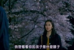 日本骚片视频在线观看,骚片视频在线观看全解析