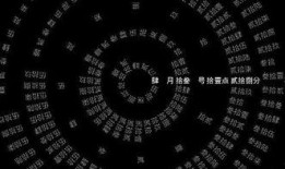 最新抖音八卦爆料,揭秘明星幕后故事，揭秘网红圈层风云！